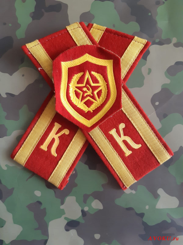 День курсанта