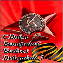 День ветерана боевых действий