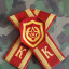 День курсанта